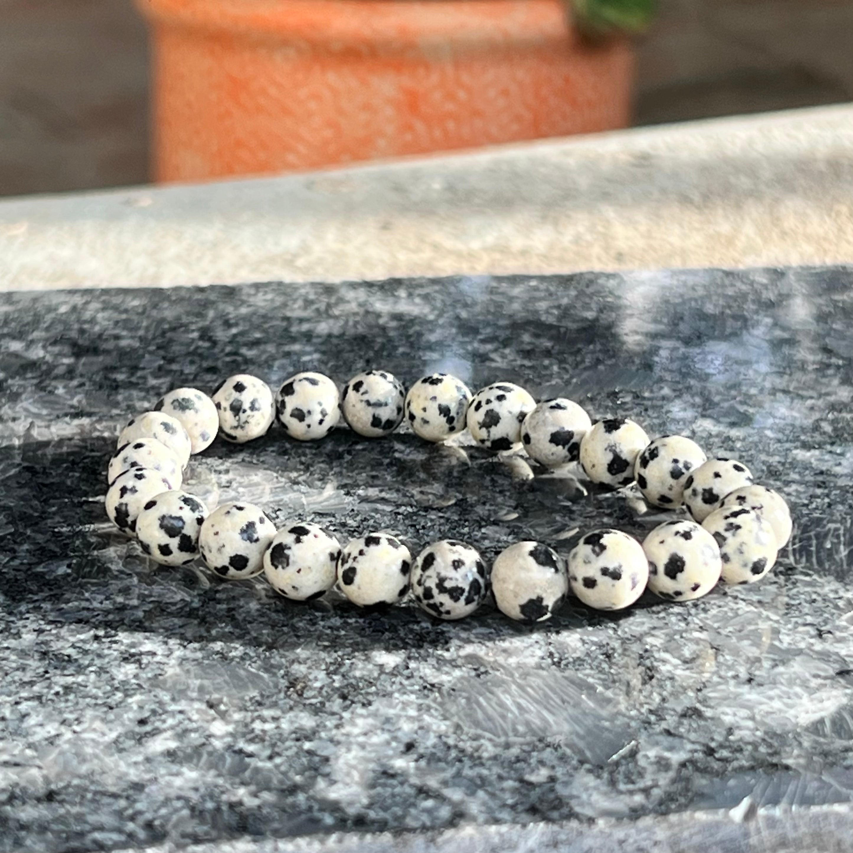 Dalmatian Jasper
